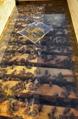 Session Formation Théorique